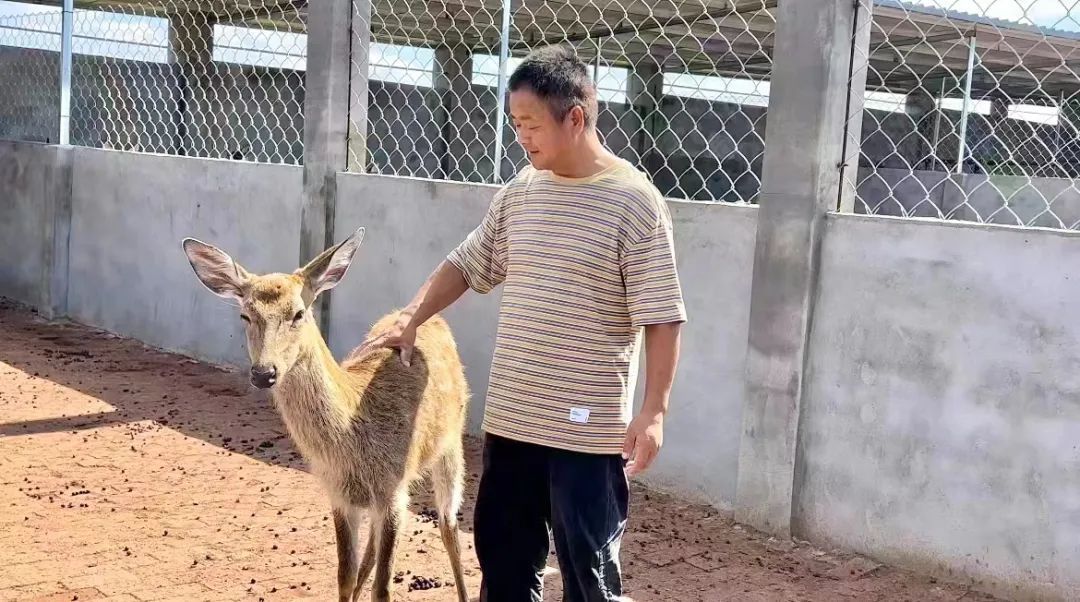 88集团注册